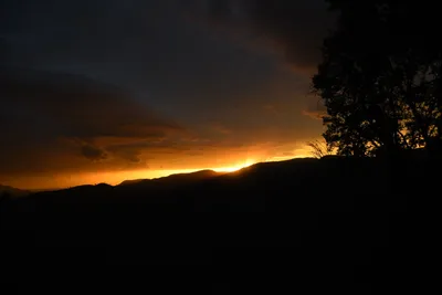 DSC_4550 (Large).JPG